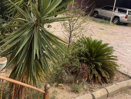 Khamis Mushait House | منزل
