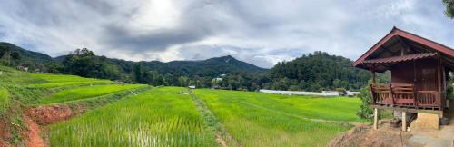 Ban Luang House | บ้านพักเคียงนา