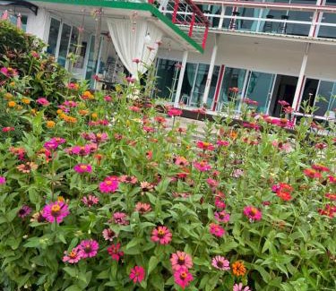 Chiang Khan House | บ้านสายน้ำ ติดแม่น้ำโขง