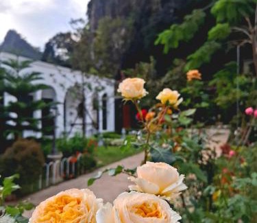 Chiang Dao House | วีรพัชนารา