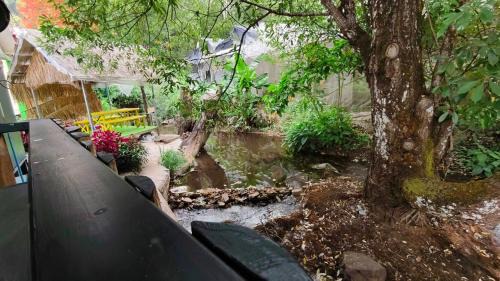 Chom Thong House | อินทนนท์ บ้านพักเล่าจู Inthanon Laoju House