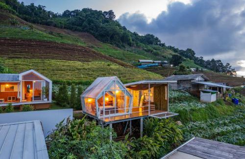 Mae Rim Other | เต็นท์ดูดาว1 แอร์ ม่อนแจ่ม วิวดอยหลวงเชียงดาว