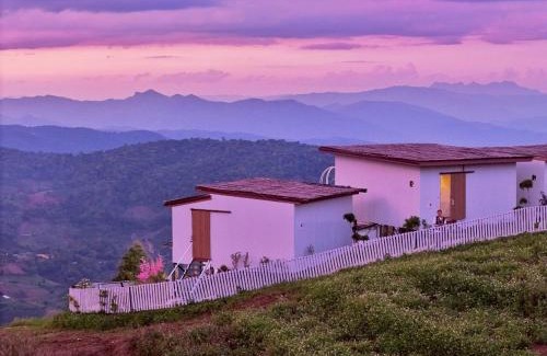 Mae Rim Other | ไร่ดอยช้าง ม่อนเเจ่ม