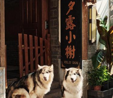 Dayan Old Town House | 夕露小榭古城南门店 Xilu Xiaoxie Inn Old Town Lijiang