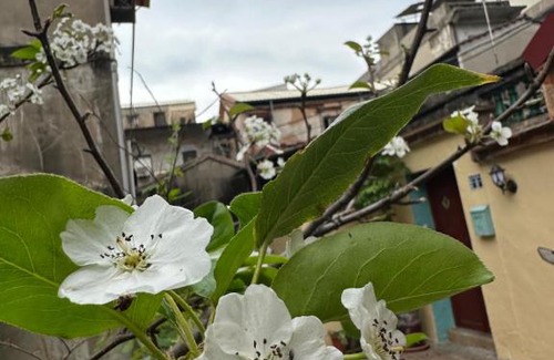 Jincheng House | 心琴民宿市區包棟