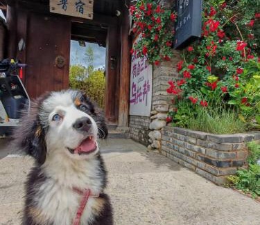 Lijiang House | 玉龙白沙普宿客栈