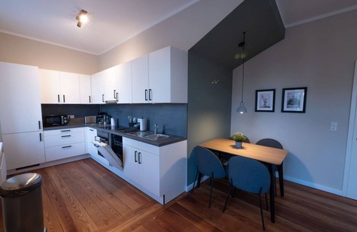 Brunsbuttel Apartment | 078 Spacious modern apartment right in the center