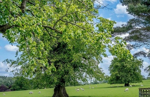 Gisburn House | 1 bedroom accommodation in Gisburn, Yorkshire Dales