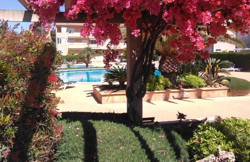 Sa Coma Apartment | 1 bedroom apartment in a small complex with large swimming pool in Sa Coma