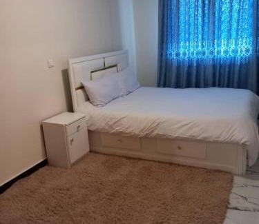 Bole Apartment | 1 bedroom apartment near UNECA