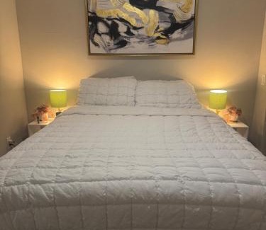 Deep Ellum Apartment | 1 Bedroom apt suite Wifi fitness room Deep Ellum