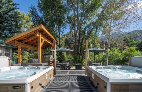 Telluride Condo | 1-Bedroom Pet-Friendly Unit at the Mountainside Inn