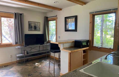 Lake Forest Condo | 1 Bedroom Tahoe Lakefront - Steps to the water