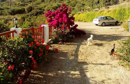 Ikaria Apartment | #1 Drakano rooms for nature lovers