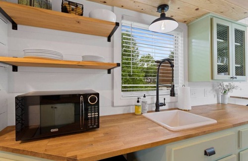 Mills River House | #1 Junior Mint · Junior Mint @ Acony Bell Tiny Home Village