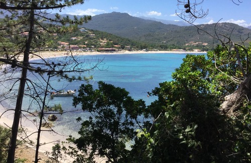 Favone House | 1 Residence Playa del Oro- Favone 3- Three-room apartment on the first floor