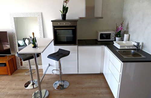 Carry-le-Rouet Apartment | 1-ROOM APARTMENT WITH PANORAMIC SEA VIEW CARRY-LE-ROUET