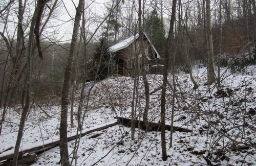 Plumtree Cabin | 10/2024 - OPEN - power, internet, water, access