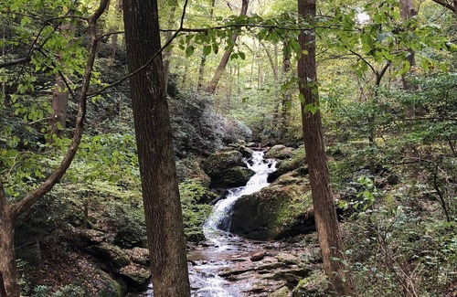 Airville RV Rental | 100+ Beds - 100 Friends - 32+ Acres bordering preserved Forest Park and Trails