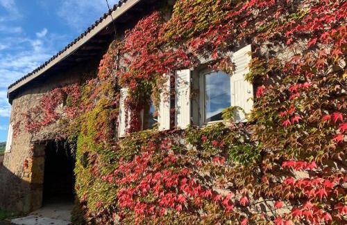 Saint-Romain-de-Popey House | 100 m² House ∙ 2 bedrooms ∙ 4 guests