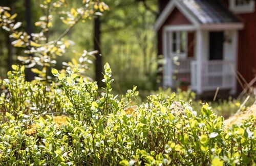 Torestorp Other | 100 m² Accommodation ∙ 2 bedrooms ∙ 5 guests