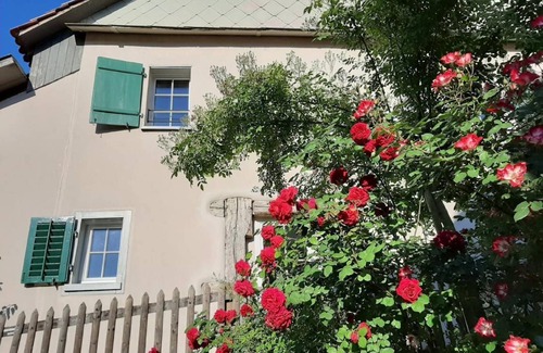 Schaffhausen House | 100 m² House ∙ 2 bedrooms ∙ 5 guests