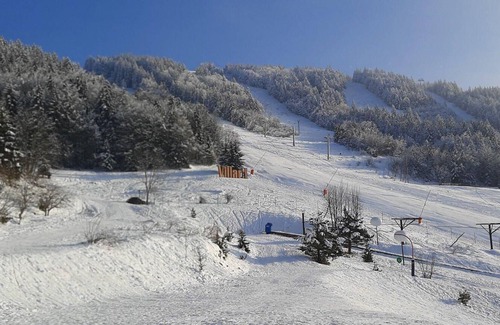 Villard-de-Lans Apartment | 10m from ski slopes, 2nd floor, balcony, parking, tv, ski locker, 20m², Villard de Lans