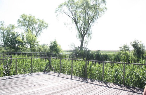 Purbach am Neusiedlersee House | 130 m² House ∙ 2 bedrooms ∙ 6 guests