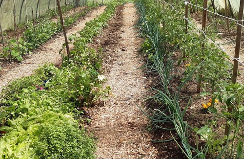 Ongles Apartment | 13-person apartment in Provencal farmhouse. Terrace with breathtaking view