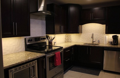 Vine Apartment | 131 Cedar 5 · Luxury Studio with Full Kitchen in Downtown Kalamazoo