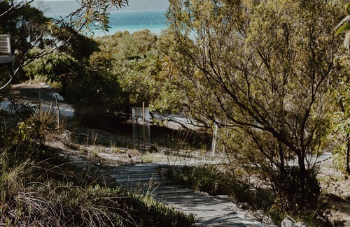 Island Beach House | 15% Off Weekly | Ocean View | Casuarina Beach House | 5BR