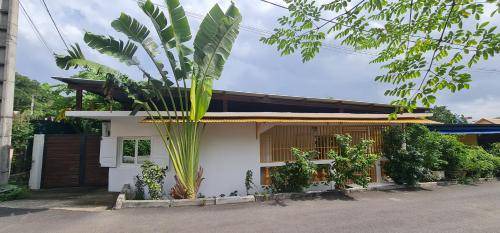 Pamandzi Bed & Breakfast | 158 m² Bed and breakfast ∙ 4 bedrooms ∙ 15 guests