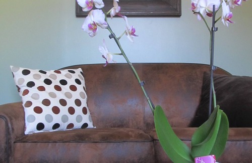 Beuzeville House | 15km from HONFLEUR * HOUSE WITH GARDEN * SAUNA * All shops * Pets welcome