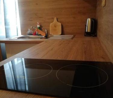 Zelezna Ruda Cabin | 16 m² Lodge ∙ 4 guests
