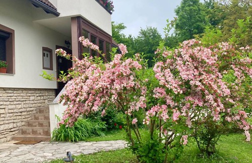 Mukinje Resort | 16 m² Private room ∙ 1 bedroom ∙ 2 guests