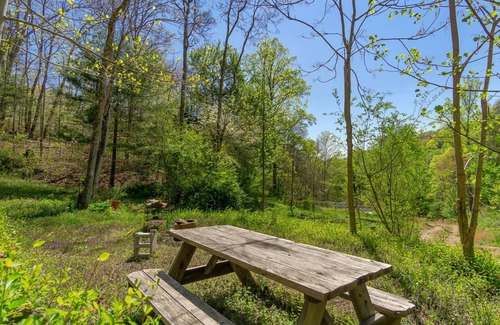 Asheville Cabin | 16’ Yurt in the Forest, Queen bed, kitchenette, hiking & 15 min to AVL.