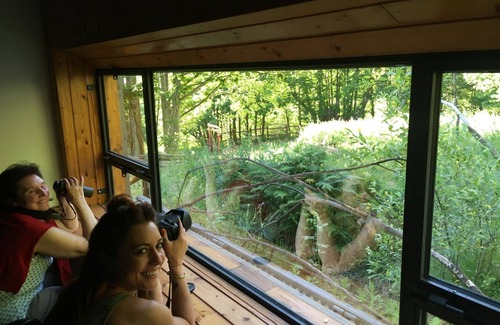 Cabezabellosa Cottage | 16C Manor Cottage, superb views, Birdwatching Centre, sets in a mountain village