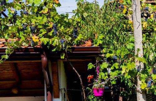 Sapareva Banya House | 180 m² House ∙ 6 bedrooms ∙ 14 guests