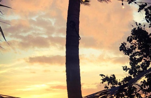 Dhiffushi Bed & Breakfast | 186 m² Bed and breakfast ∙ 4 bedrooms ∙ 11 guests