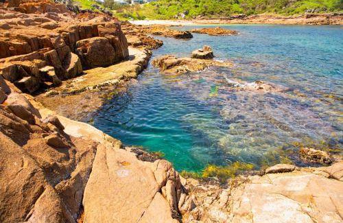 Fishermans Bay Apartment | 19 m² Apartment ∙ 1 bedroom ∙ 2 guests