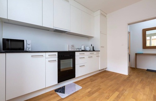 Werd Apartment | 1B - In the heart of Zurich - Chic 2-BR Luxury Apt