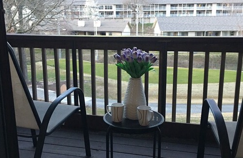Table Rock Condo | 1BD/1BA condo view of Pointe Royale Golf Course! Wonderful condo & amenities