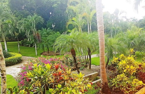 El Batey Apartment | 1BD guest-friendly condo near everything, with pool, wifi, cable TV