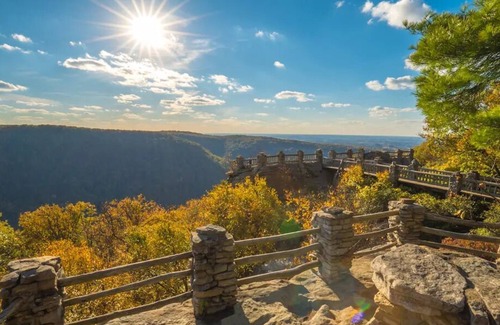Morgantown Apartment | 1BR Garden Oasis in Westover | Pet-Friendly | WVU