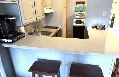 Hancock Apartment | 1st FL Mtn View Woodland Suite on Jiminy Sleeps 4 Ski On/Off, Fully Redone Count