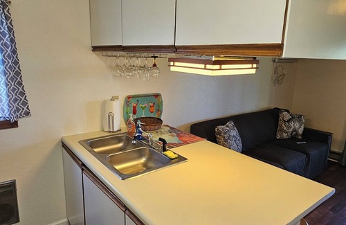 Oak Harbor Condo | 1ST floor Condo NO STAIRS, beaches ,pool cedar point camp perry marsh parks,
