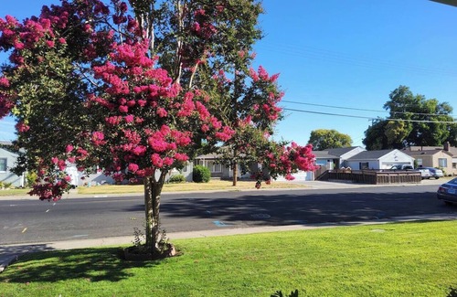Stockton House | 2/1 Cozy Home in the Heart of the City