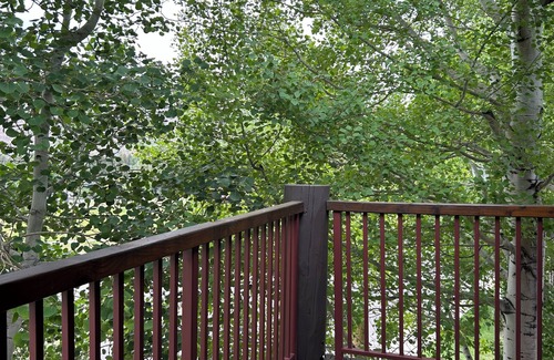 Jackson Condo | 2/2 NEW REMODEL! Luxury Snow King condo view