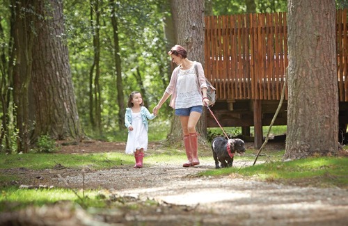 Pickering Cabin | 2 bedroom accommodation in Nr Pickering