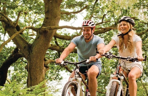 Edwinstowe Cabin | 2 bedroom accommodation in Sherwood Forest, Rufford